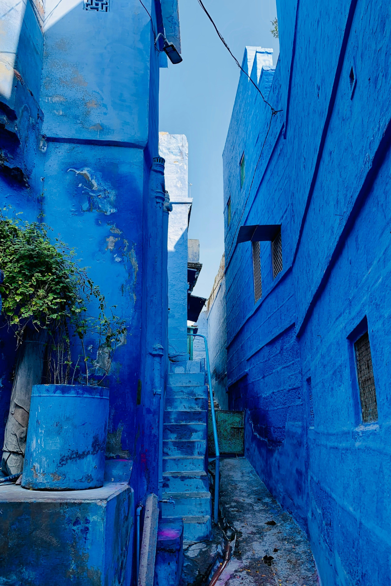 Blue Jodhpur Stepwell Art Holiday