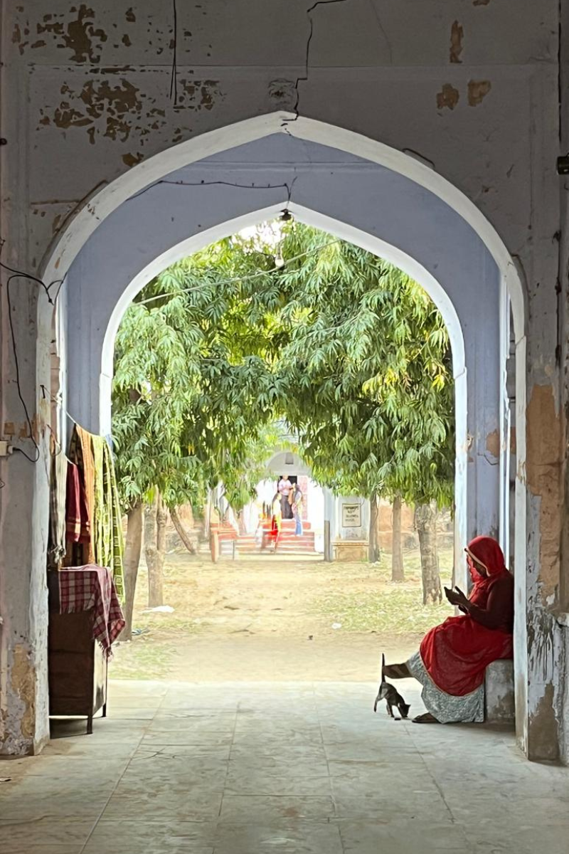 Rajasthan Art Holiday Welcome