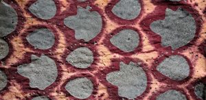 The Enduring Magic of Indian Block Printing: Craft, Community & Colour